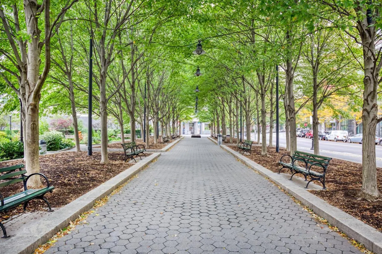 Apartment Fidi Studio W Gym Doorman Nr Freedom Tower Nyc-1097 New York United States
